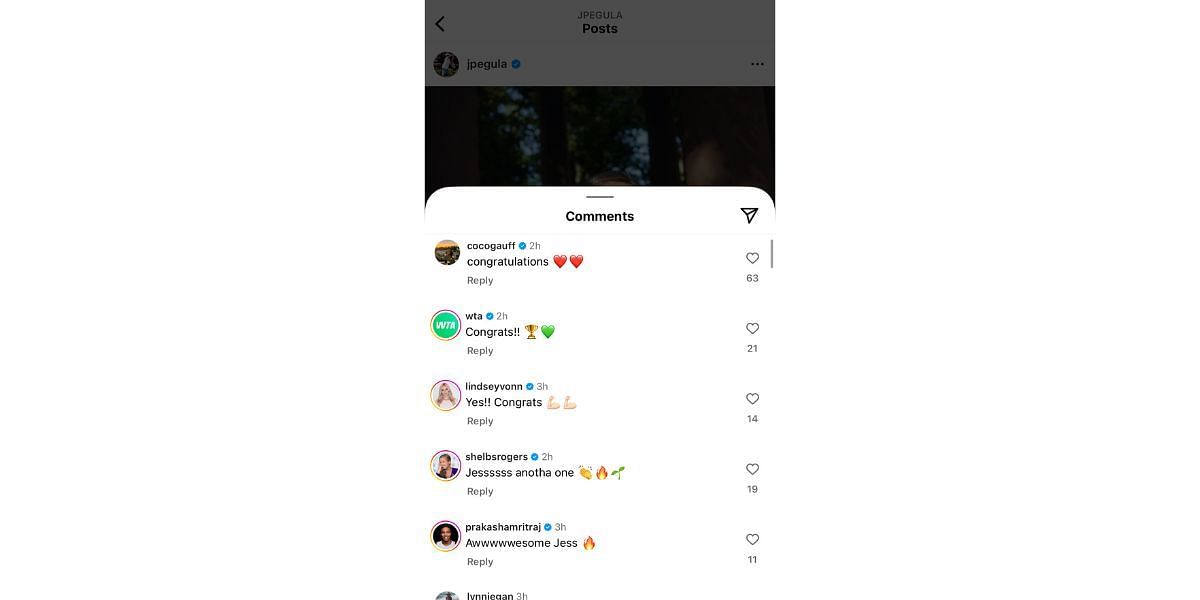 Comments on Jessica Pegula's Instagram post